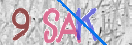 enter the text in the box below
